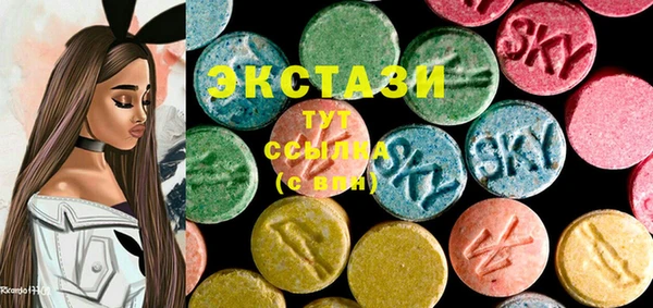 индика Зеленодольск