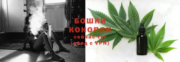 индика Зеленодольск