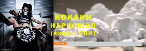 индика Зеленодольск