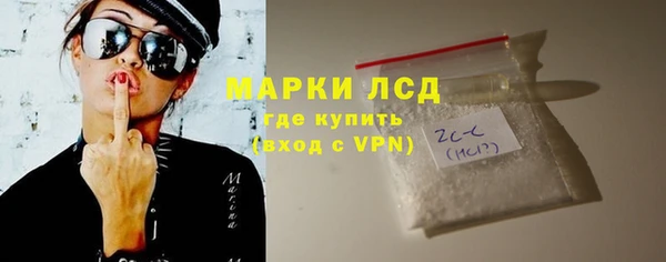 индика Зеленодольск