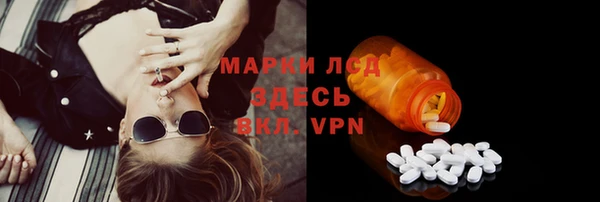 индика Зеленодольск