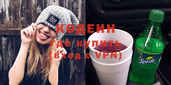 индика Зеленодольск