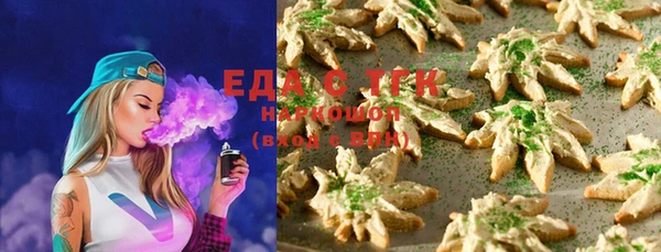 индика Зеленодольск