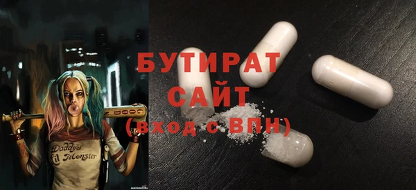 индика Зеленодольск
