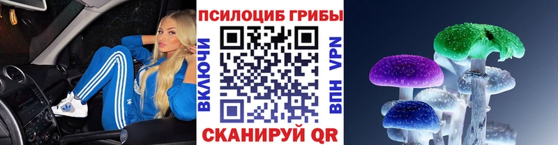 Купить закладки  Духовщина  Галлюциногенные грибы Magic Shrooms 